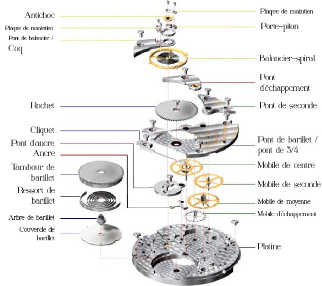Comment s'appelle les différentes parties d'une montre ?
